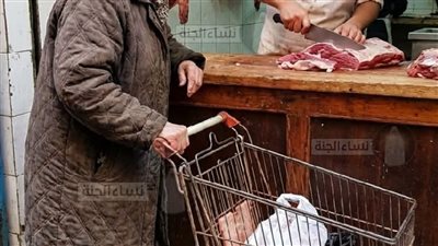 المتقاعده والطعام